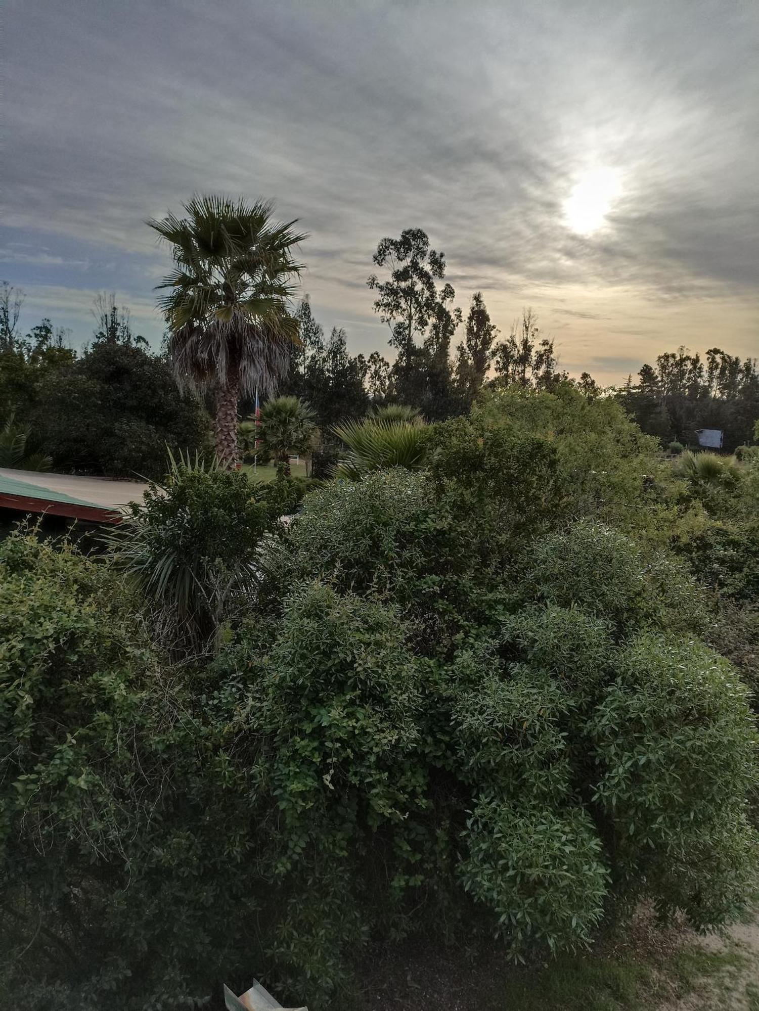 El Algarrobo Kültér fotó
