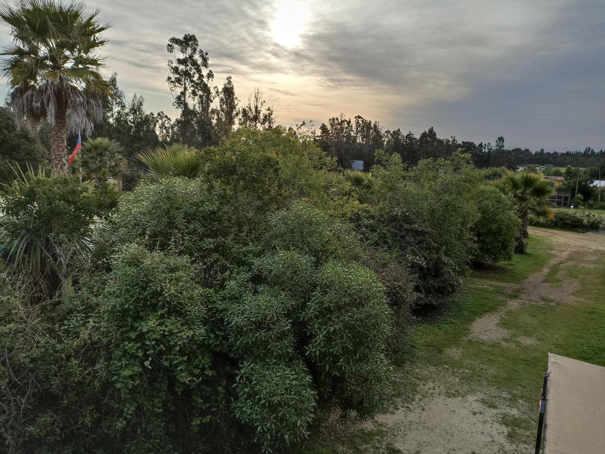 El Algarrobo Kültér fotó