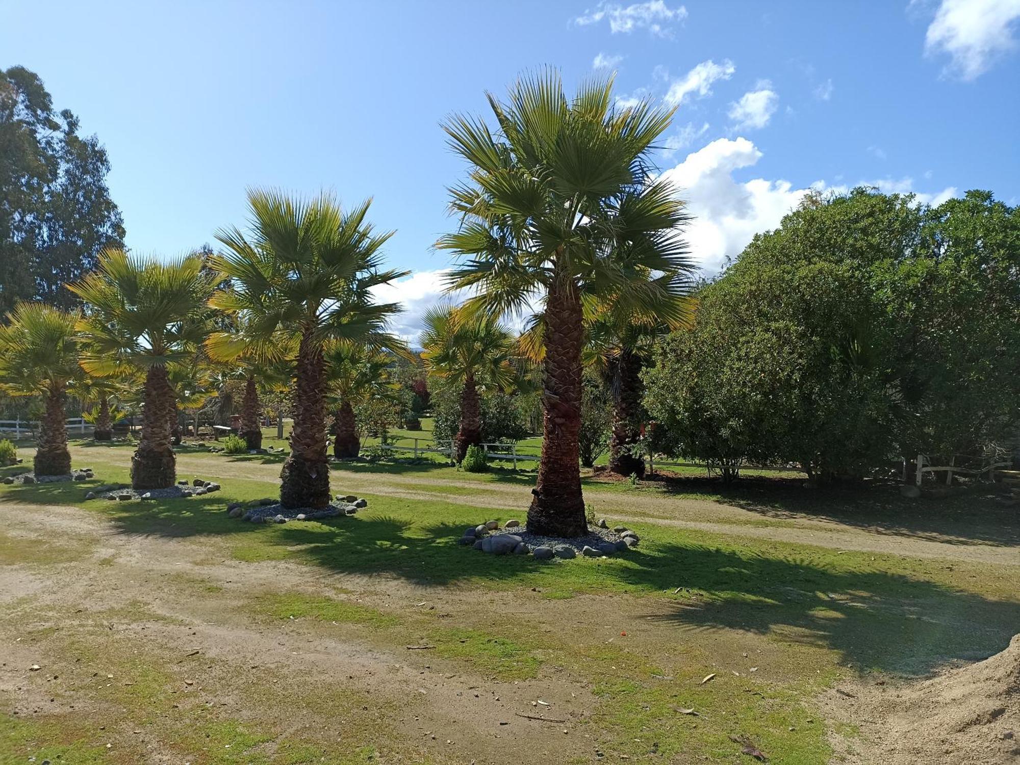 El Algarrobo Kültér fotó