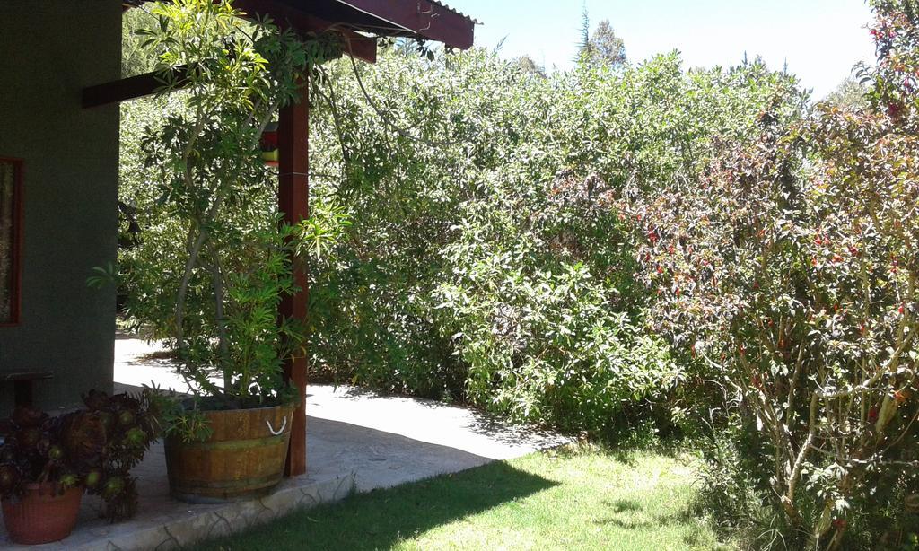 El Algarrobo Kültér fotó