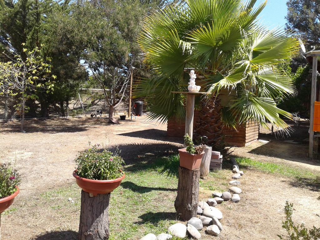 El Algarrobo Kültér fotó