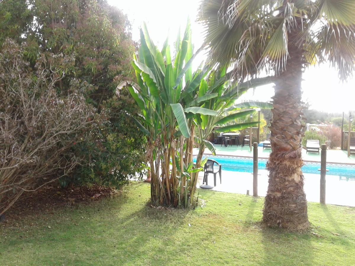 El Algarrobo Kültér fotó